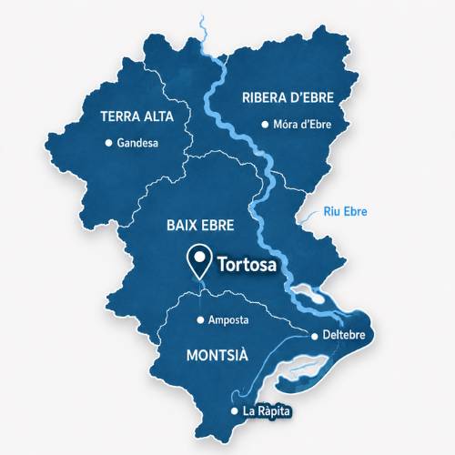 mapa de cobertura dermisa